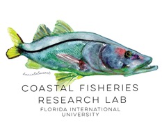 coastal snook program guide